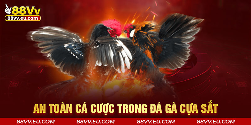 An toàn cá cược trong đá gà cựa sắt An toàn cá cược trong đá gà cựa sắt 88VV