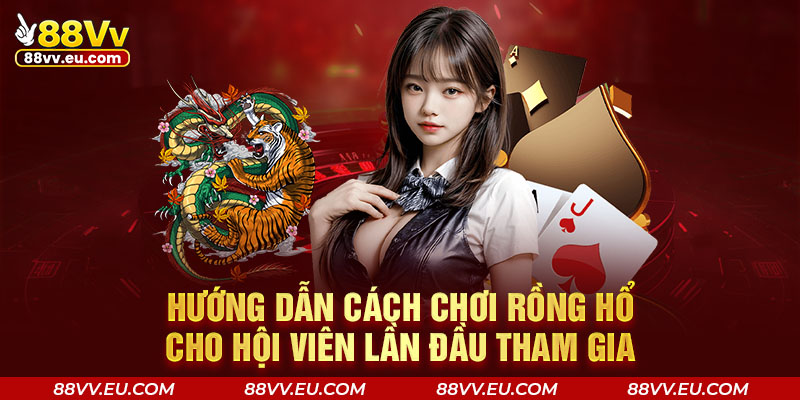 Hướng dẫn cách chơi Rồng hổ cho hội viên 88VV lần đầu tham gia