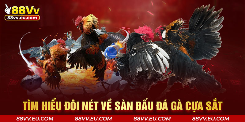Tìm hiểu đôi nét về sàn đấu đá gà cựa sắt Tìm hiểu đôi nét về sàn đấu đá gà cựa sắt tại 88VV